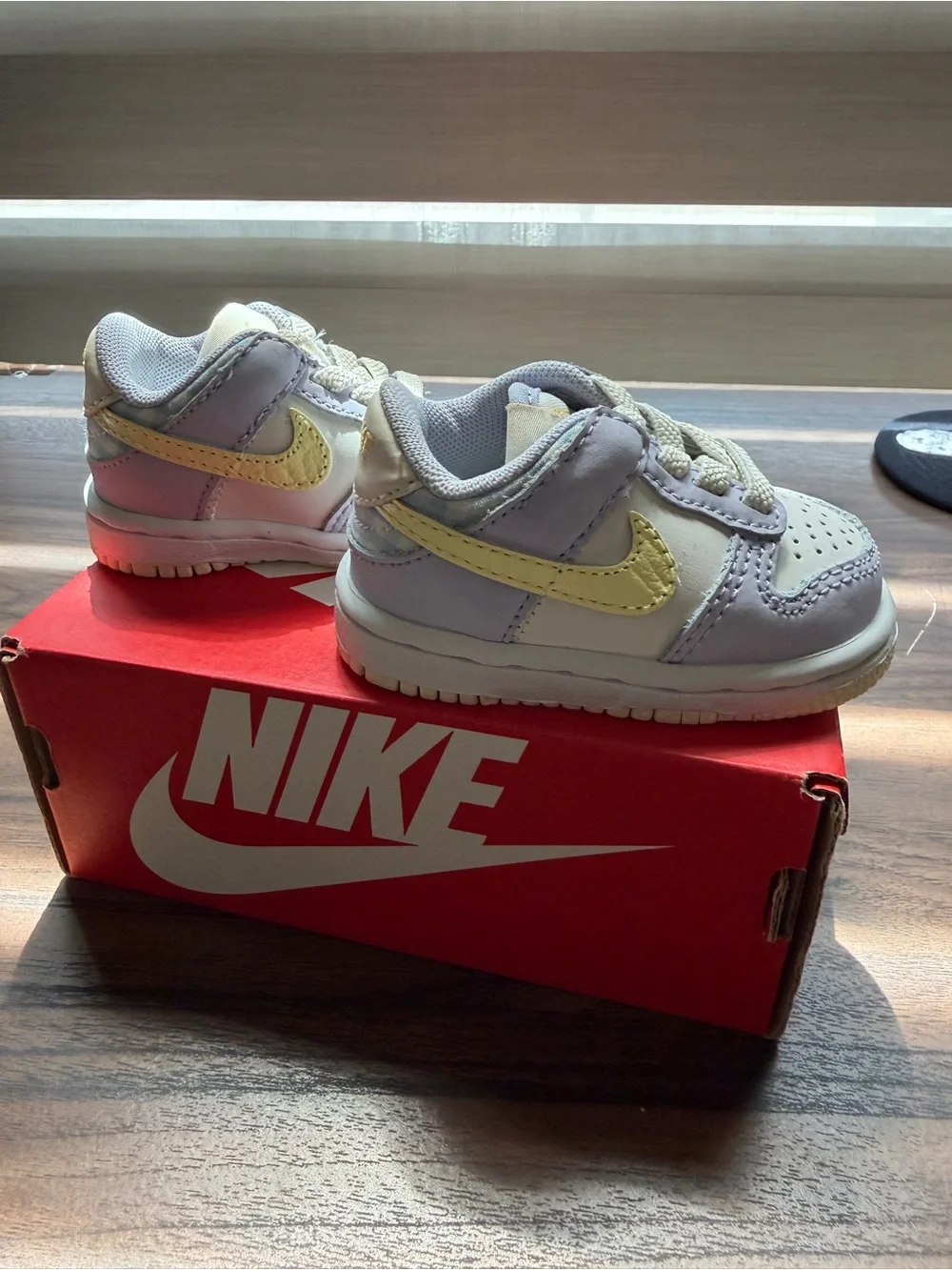 Nike Dunk Kids Low-Top Sneakers/ Box 2C